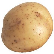 Rishik999