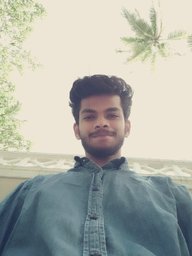 rayez