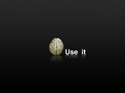 brealistic0