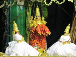 venkniralac