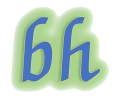 bhaider7