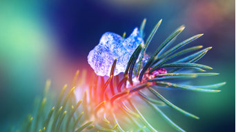 ElectricPulze