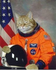 graham20354