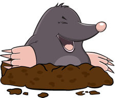 The_Mole