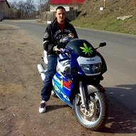 mogaandrei