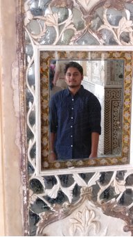 Dileepan G S