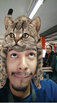 Ditoxx