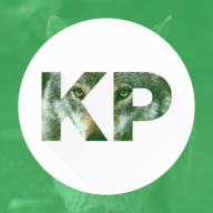 kp1234