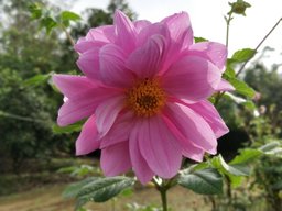 Santhosh02