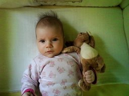 DenisMB