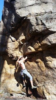 draper84