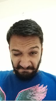 ANKIT B MISTRY