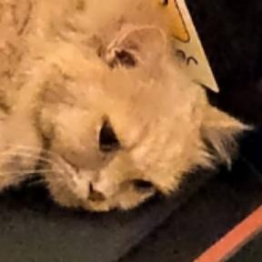 DoubleEye