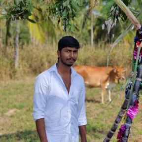 Vignesh1947
