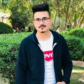 alosh8118