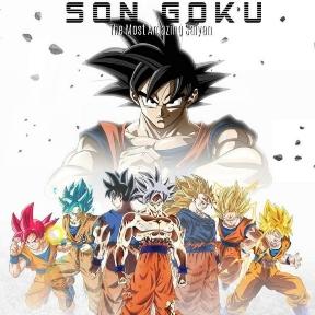 GOKU0411