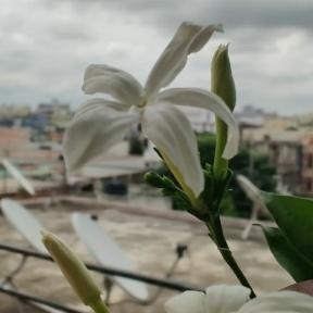 Kiran kumar Gavireddy