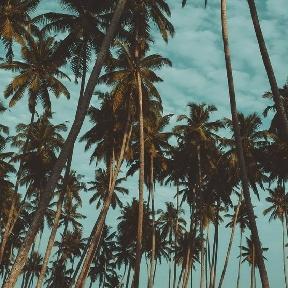 Pradhyu_17