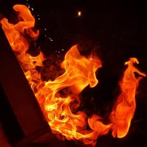 Mr.Wick79