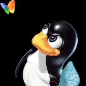 ubuntujason