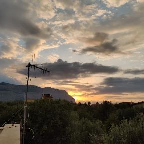 Flaviosal