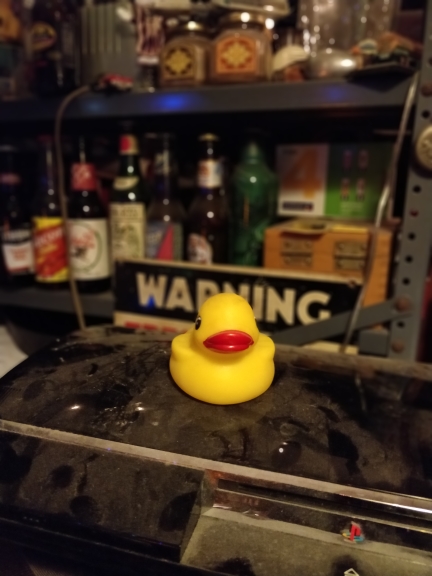 ibobcey