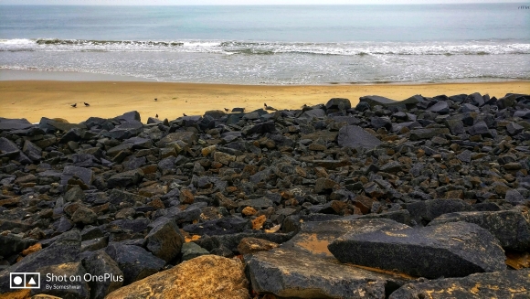 Someshwar_Guru