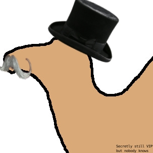 luxuskamel