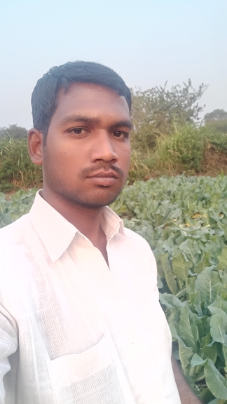 A1514794311821