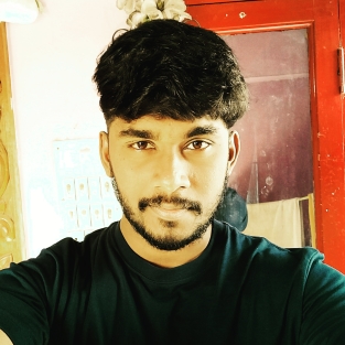Vigneshvee