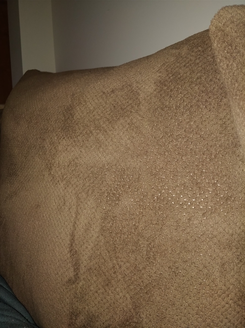 Couches