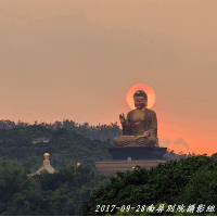 dswwong