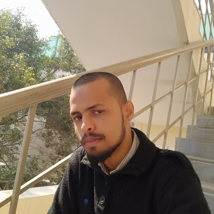 F_Sayyed_Mim_Shadab_PJcj