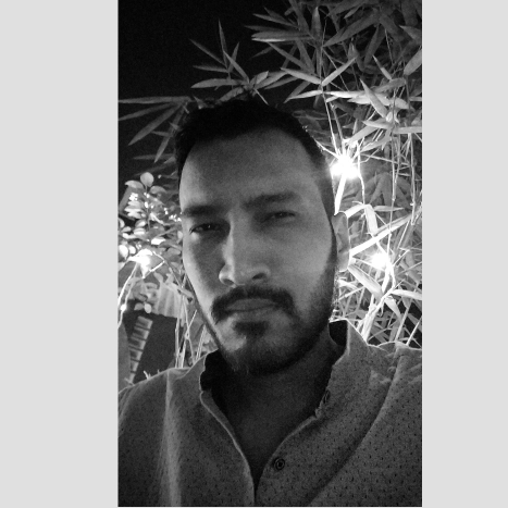 Mr. Ajay Singh Rajput