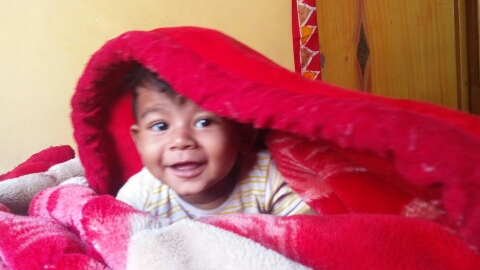 Prakash2017