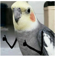 Fidda