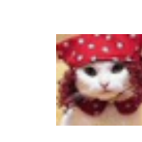 devoncatt