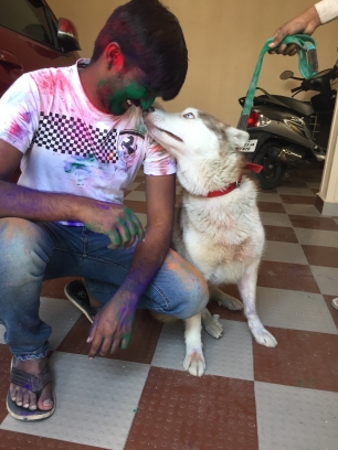 kiran v reddy