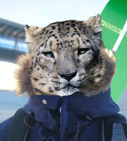 DonLotus