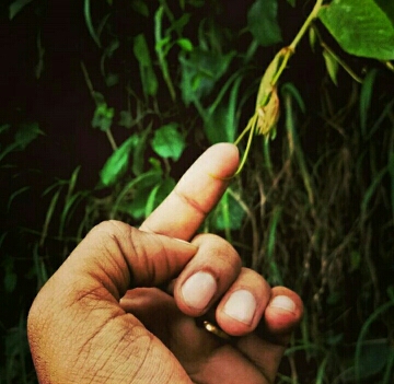 Pradeep_Jayabal