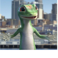 geko95gek