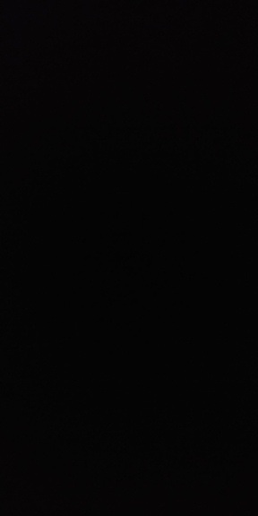 S1520830614245