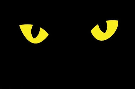 YellowClaw