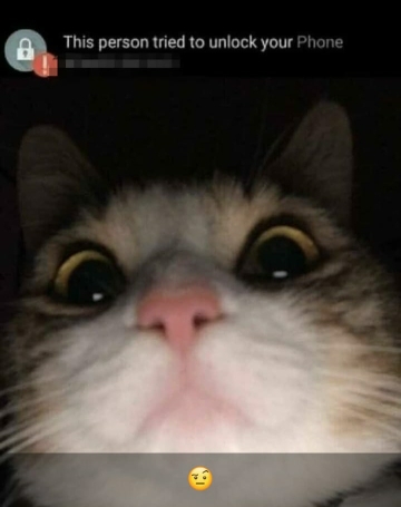 anmolkoul11