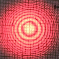 palc001