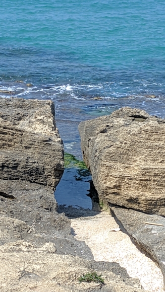 iraarnon