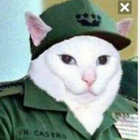 Fidel Catto