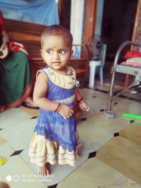 A1557504425537
