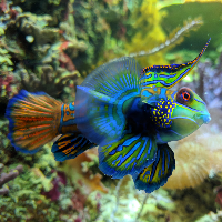 Fabulous