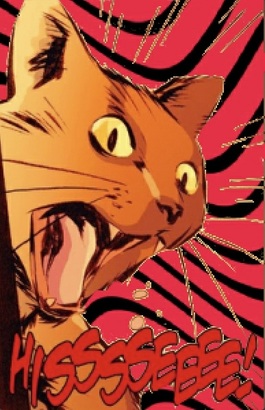 swiftestcat